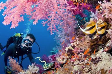 4. Дайвинг (Scuba Diving Tour).jpg