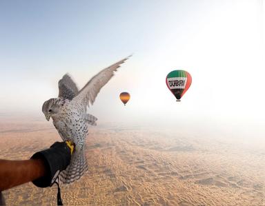 2. Полет на воздушном шаре в пустыне “Премиум”:“Balloon Flights – Premium Adventure.jpg