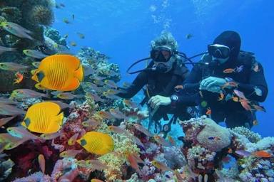 3. Deepdive Discover Snorkeling.jpg