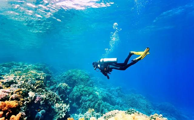 2. Дайвинг (Scuba Diving Tour).jpg